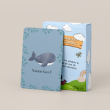 25 Prophets Flash Cards